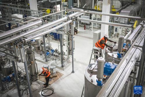 共話中國經(jīng)濟(jì)新機(jī)遇 中企助力西非可可王國產(chǎn)業(yè)升級