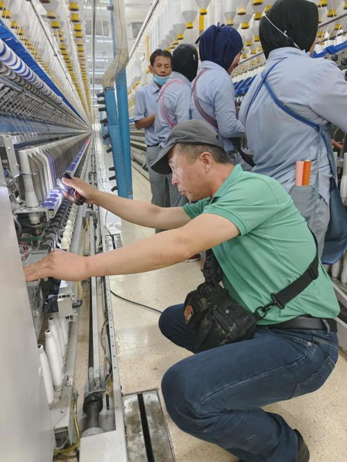 揚帆破浪 重慶金貓2024年出海之路的技術服務戰略