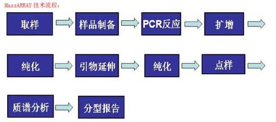 晶能生物技術(上海) Sequenom MassArray SNP分型技術服務報價詳解